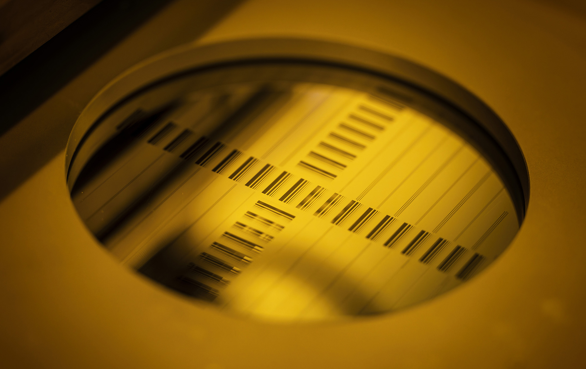 Closeup image in sharp yellow light