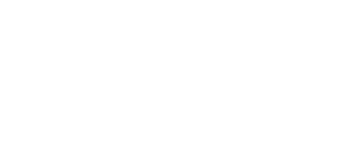 Vetenskaptsrådet logotype